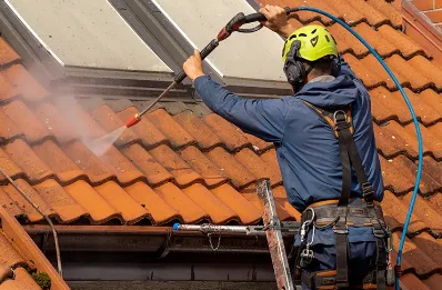 Démoussage et hydrofuge de toiture à Estang